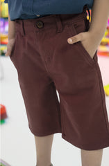 Regular Fit Shorts