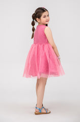 Infant Girls Tilla Floral Embroidered Dress-IGWD707125