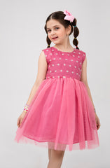 Infant Girls Tilla Floral Embroidered Dress-IGWD707125