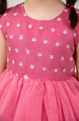 Infant Girls Tilla Floral Embroidered Dress-IGWD707125