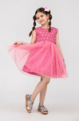 Infant Girls Tilla Floral Embroidered Dress-IGWD707125