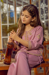 Rani 2 Pc Suit
