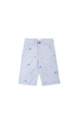 Striper Embroidered Shorts
