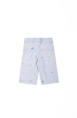 Striper Embroidered Shorts