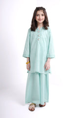 Rani 2 Pcs Suit