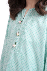 Rani 2 Pcs Suit
