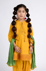 Alaiya 3 Pcs Suit