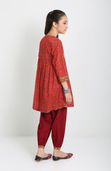 Noorie 2 Pcs Suit