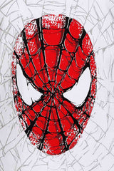 Reflector Spiderman
