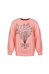 Sparkle Sweatshirt