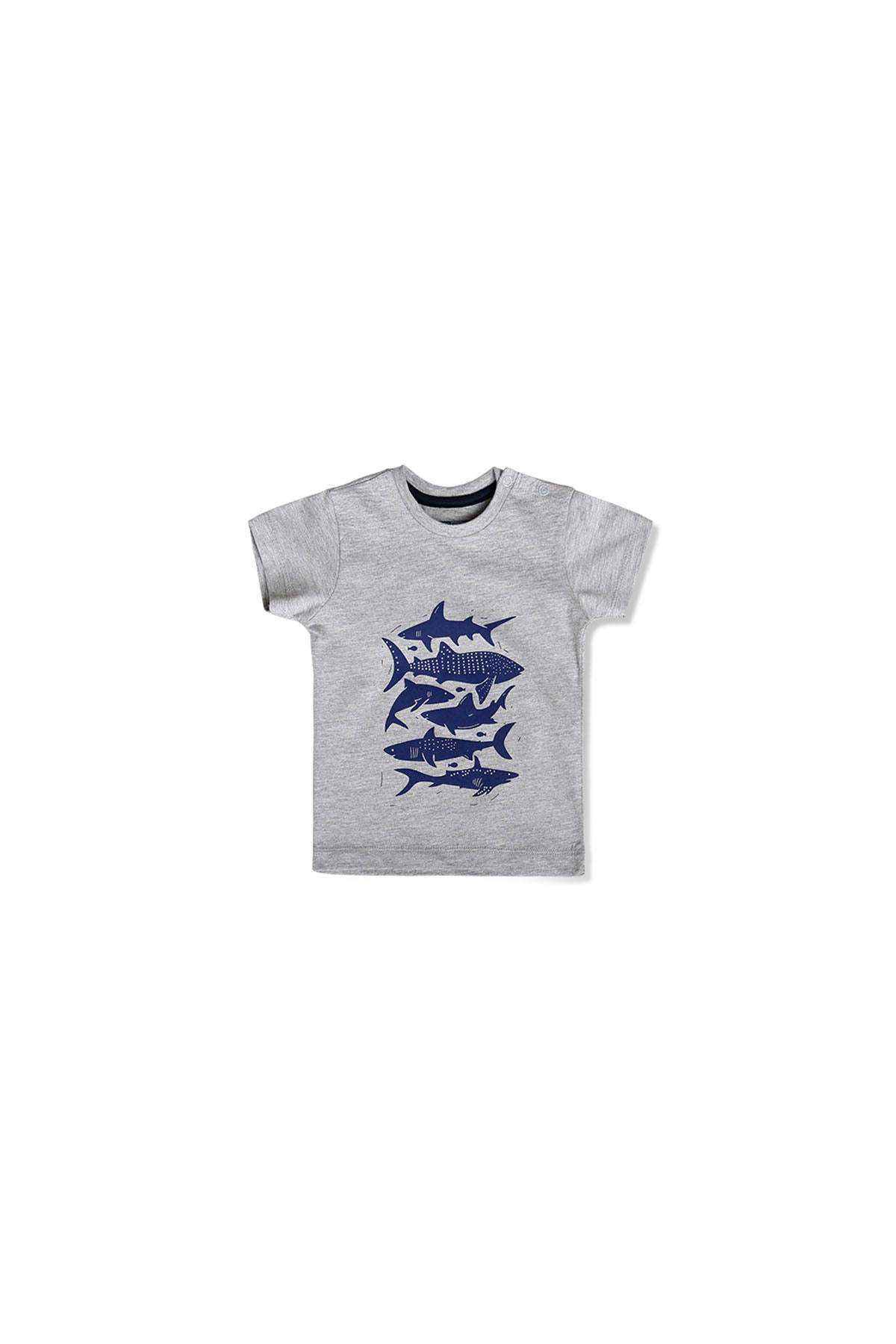 Shark Friends  Tee S/S