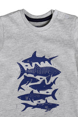 Shark Friends  Tee S/S