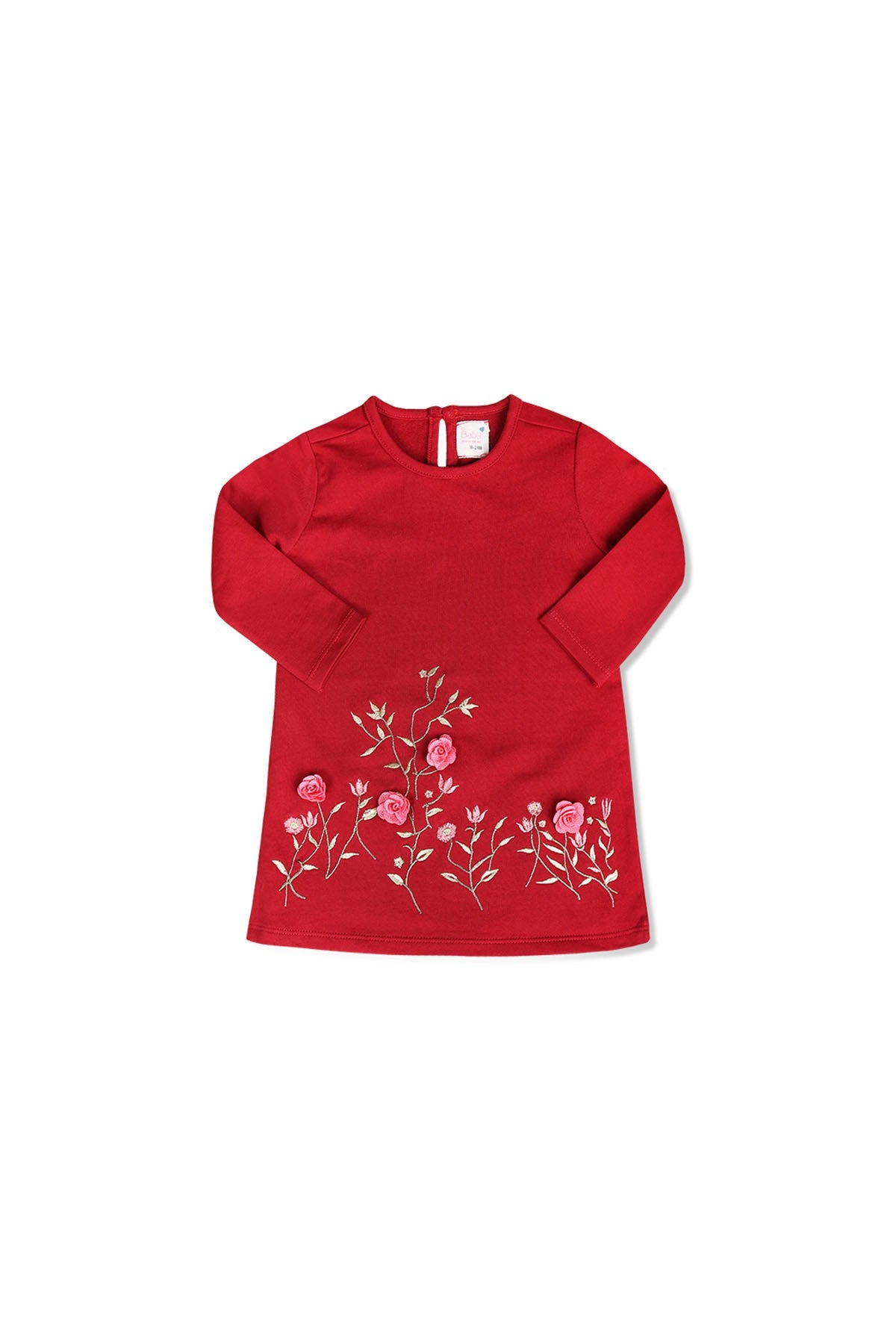 Embroided Dress